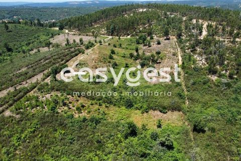 Tomt i Arganil, Coimbra, Arganil - € 48 000 | Ref: RR88952 - foto 12