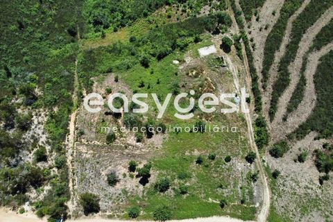 Tomt i Arganil, Coimbra, Arganil - € 48 000 | Ref: RR88952 - foto 16