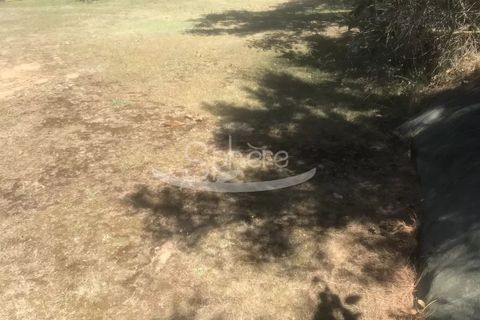 Helårsgrund i Limoux, Aude, Limoux - € 50.000 | Ref: 2139 - foto 5