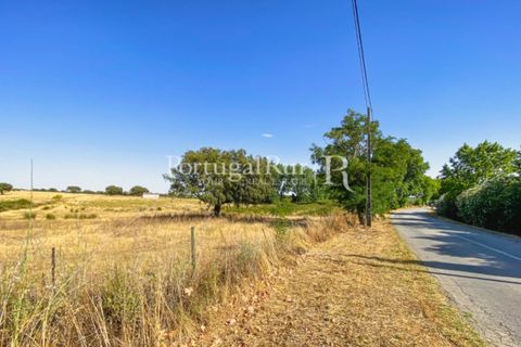 Farm i Avis, Portalegre, Avis - € 490.000 | Ref: 788-2 - foto 23
