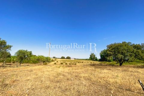 Farm i Avis, Portalegre, Avis - € 490.000 | Ref: 788-2 - foto 25