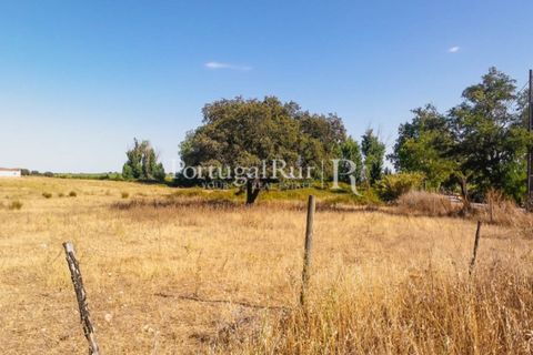 Farm i Avis, Portalegre, Avis - € 490.000 | Ref: 788-2 - foto 26