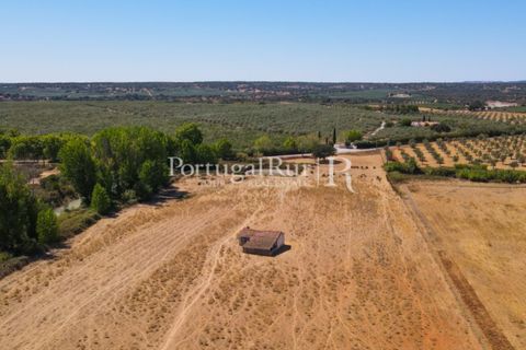 Farm i Avis, Portalegre, Avis - € 490.000 | Ref: 788-2 - foto 12