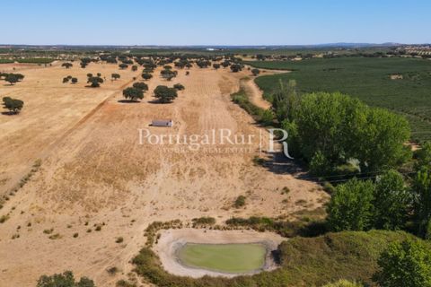 Farm i Avis, Portalegre, Avis - € 490.000 | Ref: 788-2 - foto 16