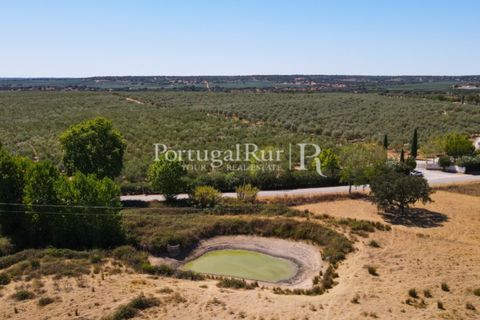 Farm i Avis, Portalegre, Avis - € 490.000 | Ref: 788-2 - foto 47