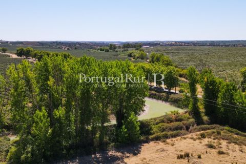 Farm i Avis, Portalegre, Avis - € 490.000 | Ref: 788-2 - foto 48
