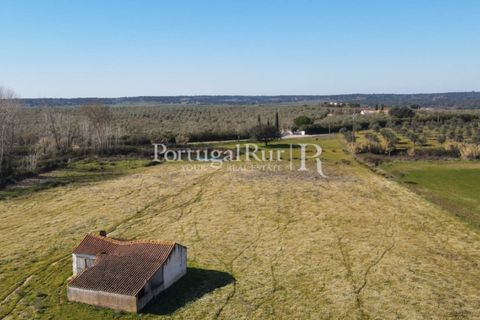 Farm i Avis, Portalegre, Avis - € 490.000 | Ref: 788-2 - foto 2
