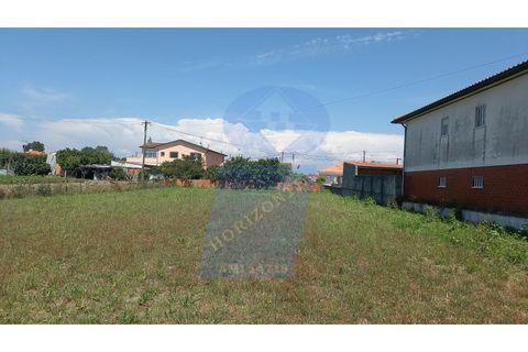Helårsgrund i Aveiro, Aveiro, Aveiro - € 45.000 | Ref: TER_VP_915 - foto 5