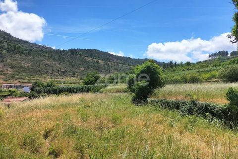 Villa a Armamar, Viseu, Armamar - € 95.000 | Ref: ZMPT551149 - foto 23