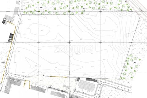 Helårsgrund i Ovar, Aveiro, Ovar - € 450.000 | Ref: ZMPT551022 - foto 4