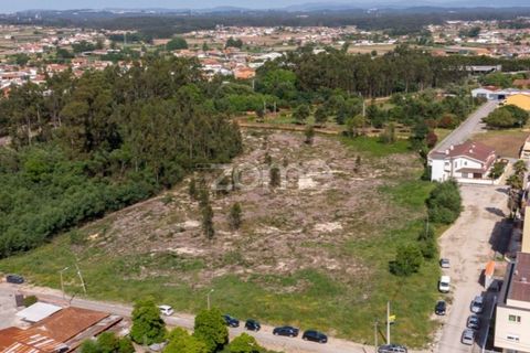 Helårsgrund i Ovar, Aveiro, Ovar - € 450.000 | Ref: ZMPT551022 - foto 2