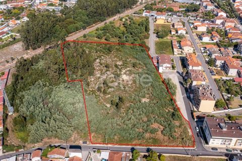 Helårsgrund i Ovar, Aveiro, Ovar - € 450.000 | Ref: ZMPT551022 - foto 5