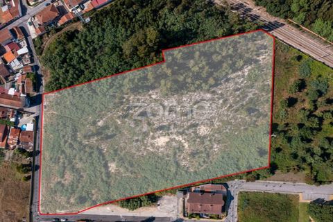 Helårsgrund i Ovar, Aveiro, Ovar - € 450.000 | Ref: ZMPT551022 - foto 6