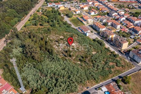 Helårsgrund i Ovar, Aveiro, Ovar - € 450.000 | Ref: ZMPT551022 - foto 7