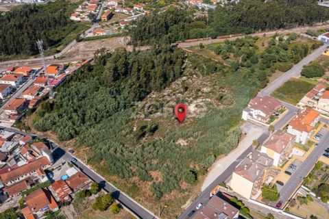 Helårsgrund i Ovar, Aveiro, Ovar - € 450.000 | Ref: ZMPT551022 - foto 9