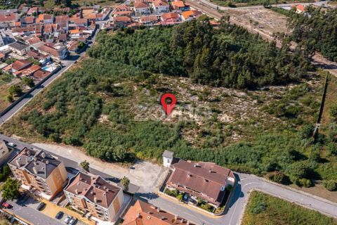 Helårsgrund i Ovar, Aveiro, Ovar - € 450.000 | Ref: ZMPT551022 - foto 11