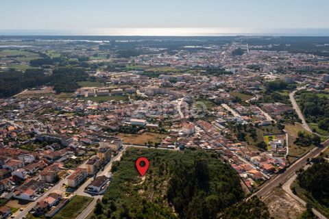Helårsgrund i Ovar, Aveiro, Ovar - € 450.000 | Ref: ZMPT551022 - foto 12