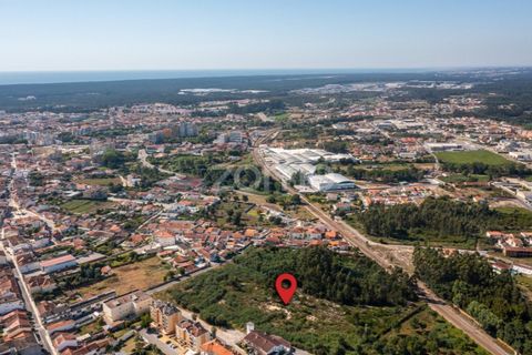Helårsgrund i Ovar, Aveiro, Ovar - € 450.000 | Ref: ZMPT551022 - foto 13