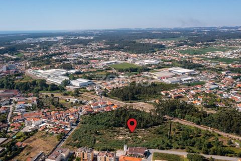 Helårsgrund i Ovar, Aveiro, Ovar - € 450.000 | Ref: ZMPT551022 - foto 14