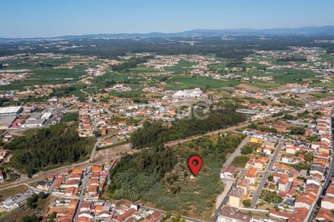 Helårsgrund i Ovar, Aveiro, Ovar - € 450.000 | Ref: ZMPT551022 - foto 15