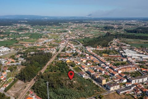 Helårsgrund i Ovar, Aveiro, Ovar - € 450.000 | Ref: ZMPT551022 - foto 16