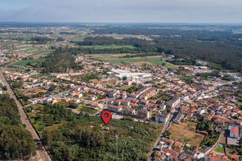 Helårsgrund i Ovar, Aveiro, Ovar - € 450.000 | Ref: ZMPT551022 - foto 17
