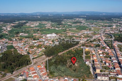 Helårsgrund i Ovar, Aveiro, Ovar - € 450.000 | Ref: ZMPT551022 - foto 1