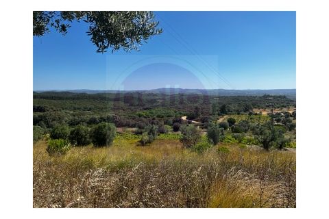 Helårsgrund i Tomar, Santarem, Tomar - € 35.000 | Ref: T 289 - foto 1
