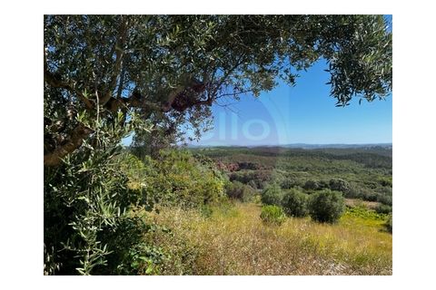 Helårsgrund i Tomar, Santarem, Tomar - € 35.000 | Ref: T 289 - foto 2
