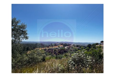 Helårsgrund i Tomar, Santarem, Tomar - € 35.000 | Ref: T 289 - foto 7