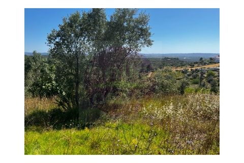 Helårsgrund i Tomar, Santarem, Tomar - € 35.000 | Ref: T 289 - foto 8