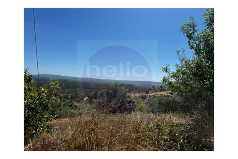 Helårsgrund i Tomar, Santarem, Tomar - € 35.000 | Ref: T 289 - foto 10