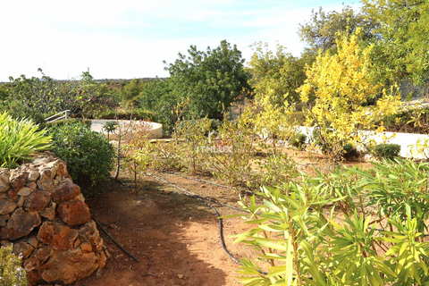 Villa i Estoi, Faro, Estoi - € 750.000 | Ref: ITH102 - foto 17