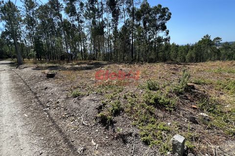 Helårsgrund i Viseu, Viseu, Viseu - € 55.000 | Ref: 189222217 - foto 2
