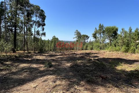 Helårsgrund i Viseu, Viseu, Viseu - € 55.000 | Ref: 189222217 - foto 3