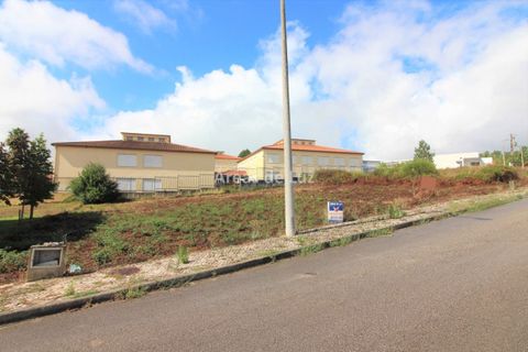 Helårsgrund i Pombal, Leiria, Pombal - € 36.500 | Ref: 3401/22 - foto 6