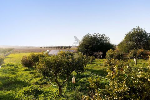 Villa i Algoz, Faro, Algoz - € 965.000 | Ref: JP017 TU - foto 35