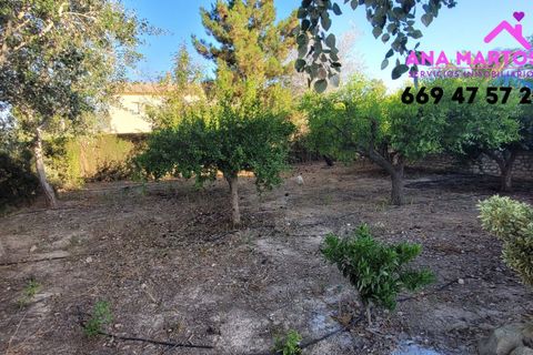 Landejendom i Lorca, Murcia, Lorca - € 600.000 | Ref: MAS0005 - foto 3
