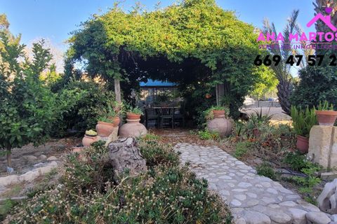 Landejendom i Lorca, Murcia, Lorca - € 600.000 | Ref: MAS0005 - foto 4