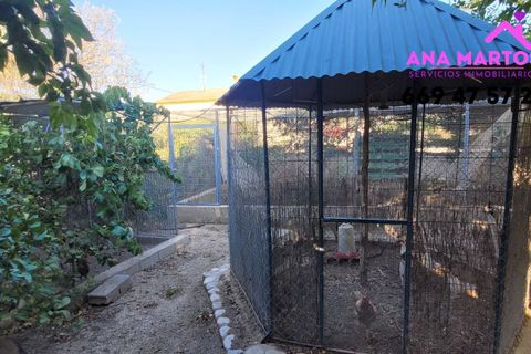 Landejendom i Lorca, Murcia, Lorca - € 600.000 | Ref: MAS0005 - foto 5