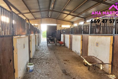 Landejendom i Lorca, Murcia, Lorca - € 600.000 | Ref: MAS0005 - foto 13