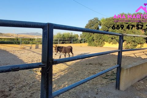 Landejendom i Lorca, Murcia, Lorca - € 600.000 | Ref: MAS0005 - foto 15