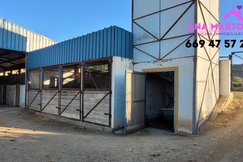 Landejendom i Lorca, Murcia, Lorca - € 600.000 | Ref: MAS0005 - foto 16