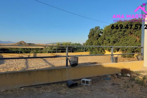 Landejendom i Lorca, Murcia, Lorca - € 600.000 | Ref: MAS0005 - foto 18