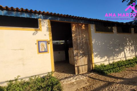 Landejendom i Lorca, Murcia, Lorca - € 600.000 | Ref: MAS0005 - foto 19