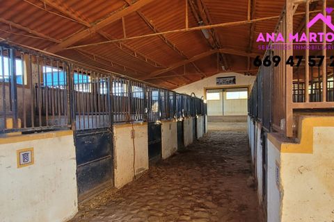 Landejendom i Lorca, Murcia, Lorca - € 600.000 | Ref: MAS0005 - foto 20