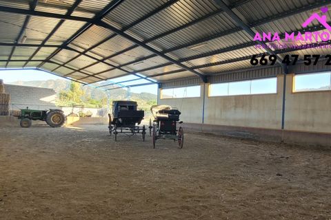 Landejendom i Lorca, Murcia, Lorca - € 600.000 | Ref: MAS0005 - foto 21