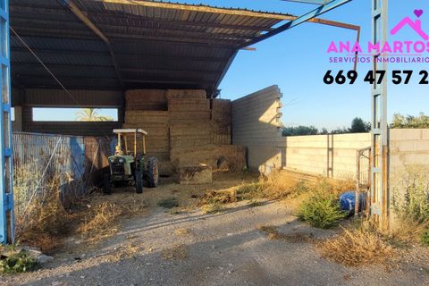 Landejendom i Lorca, Murcia, Lorca - € 600.000 | Ref: MAS0005 - foto 22