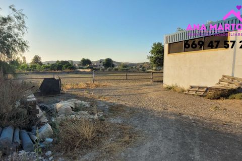 Landejendom i Lorca, Murcia, Lorca - € 600.000 | Ref: MAS0005 - foto 23