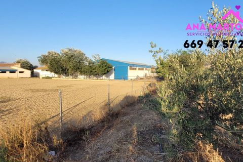 Landejendom i Lorca, Murcia, Lorca - € 600.000 | Ref: MAS0005 - foto 24
